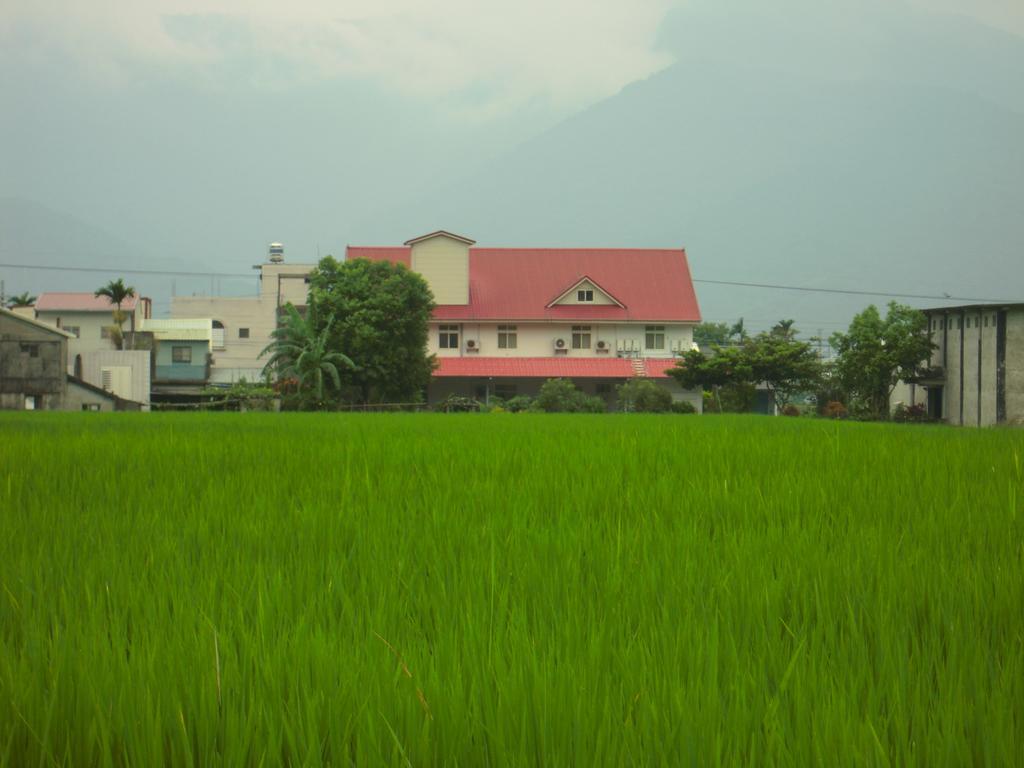 Golden Flower Homestay Yuli Extérieur photo